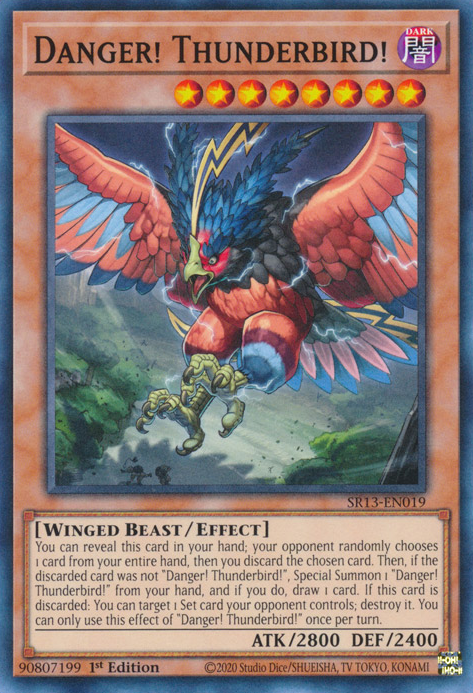 Danger! Thunderbird! [SR13-EN019] Common | Chromatic Games