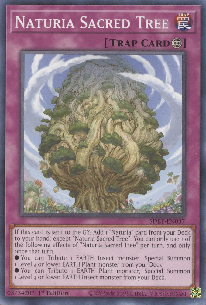 Naturia Sacred Tree [SDBT-EN037] Common | Chromatic Games