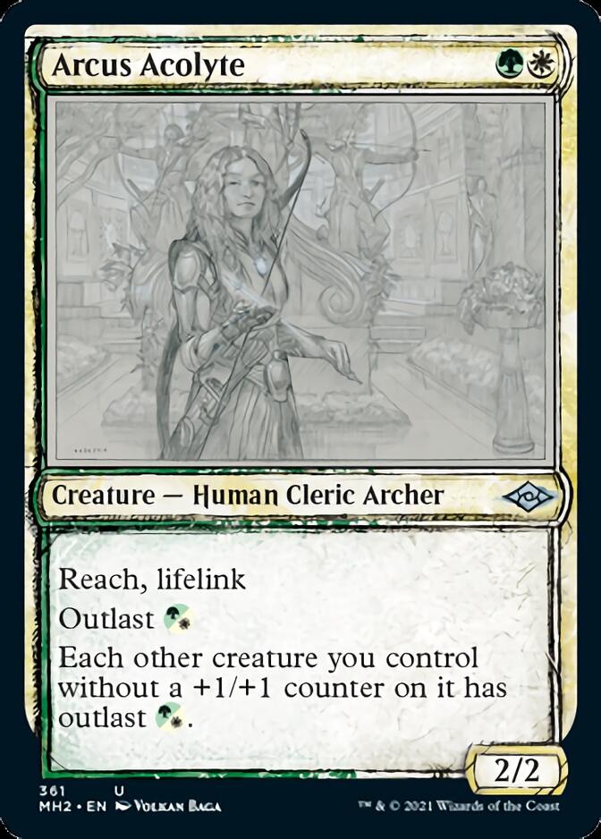 Arcus Acolyte (Sketch) [Modern Horizons 2] | Chromatic Games