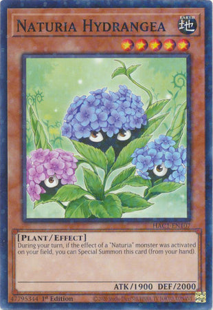 Naturia Hydrangea (Duel Terminal) [HAC1-EN107] Common | Chromatic Games