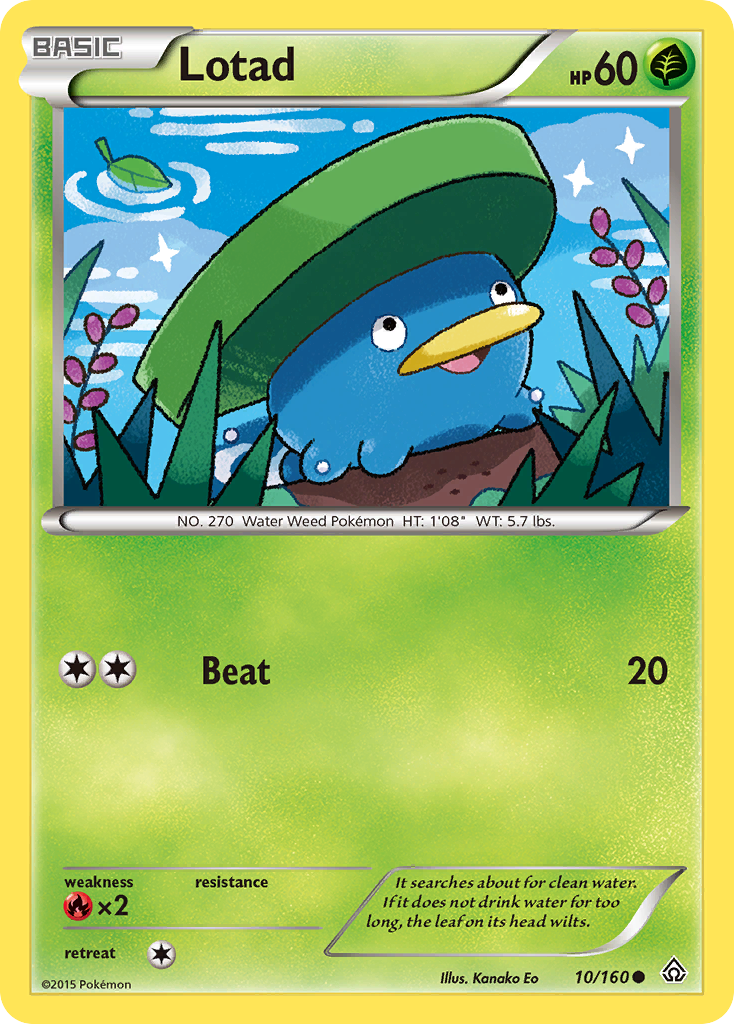 Lotad (10/160) [XY: Primal Clash] | Chromatic Games
