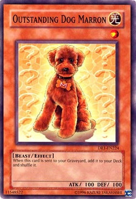 Outstanding Dog Marron [DR1-EN224] Common | Chromatic Games