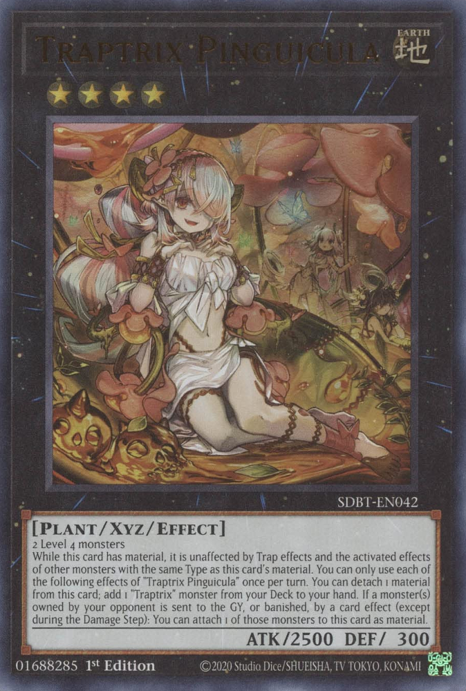 Traptrix Pinguicula [SDBT-EN042] Ultra Rare | Chromatic Games