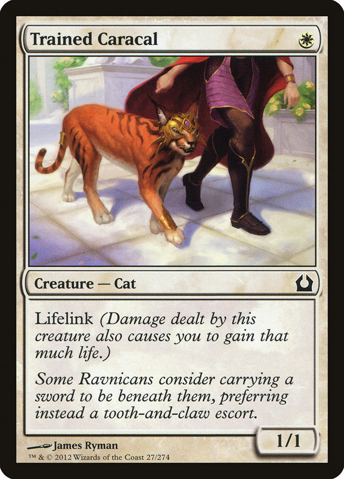 Trained Caracal 27/274 (Return to Ravnica)  | Chromatic Games