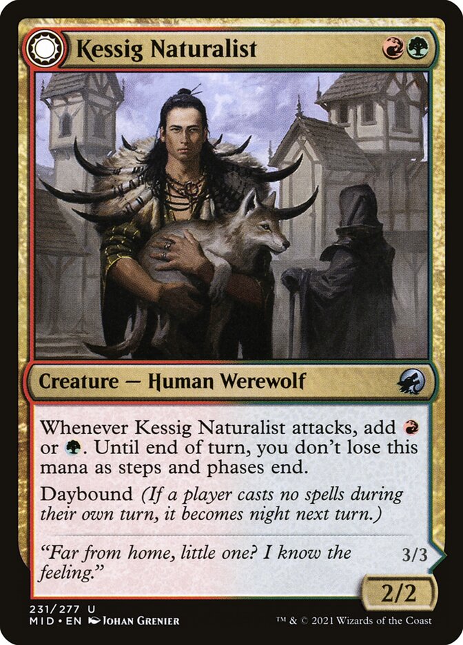 Kessig Naturalist // Lord of the Ulvenwald 231 (Innistrad: Midnight Hunt)  | Chromatic Games