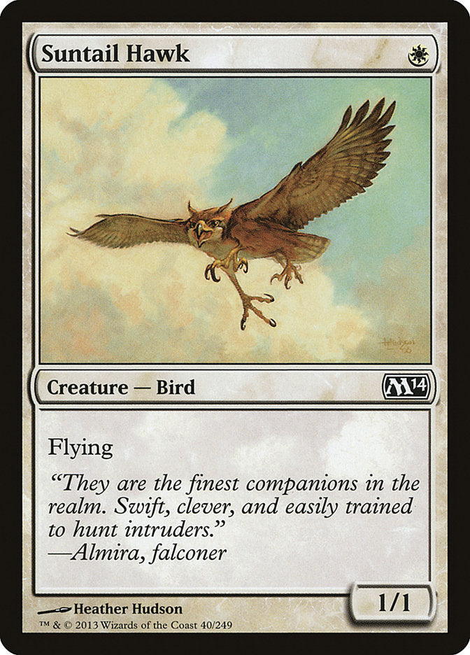 Suntail Hawk 40/249 (Magic 2014 (M14))  | Chromatic Games