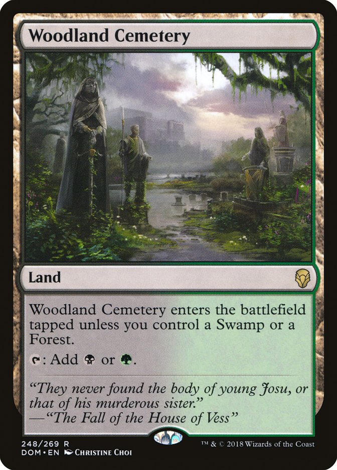 Woodland Cemetery 248/269 (Dominaria)  | Chromatic Games