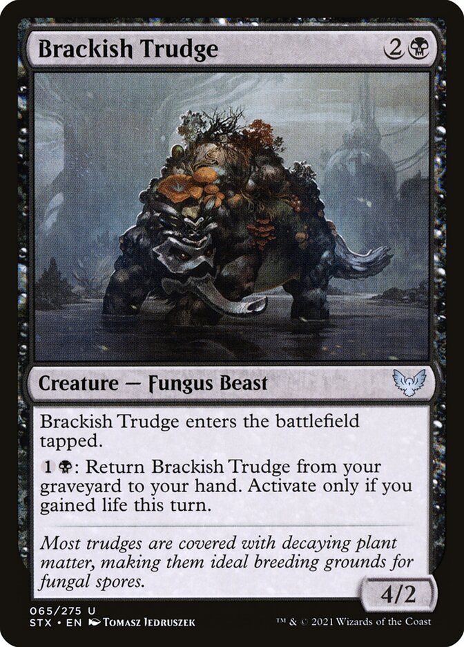 Brackish Trudge 65 (Strixhaven: School of Mages)  - Foil | Chromatic Games