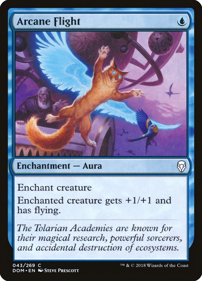 Arcane Flight 43/269 (Dominaria)  - Foil | Chromatic Games