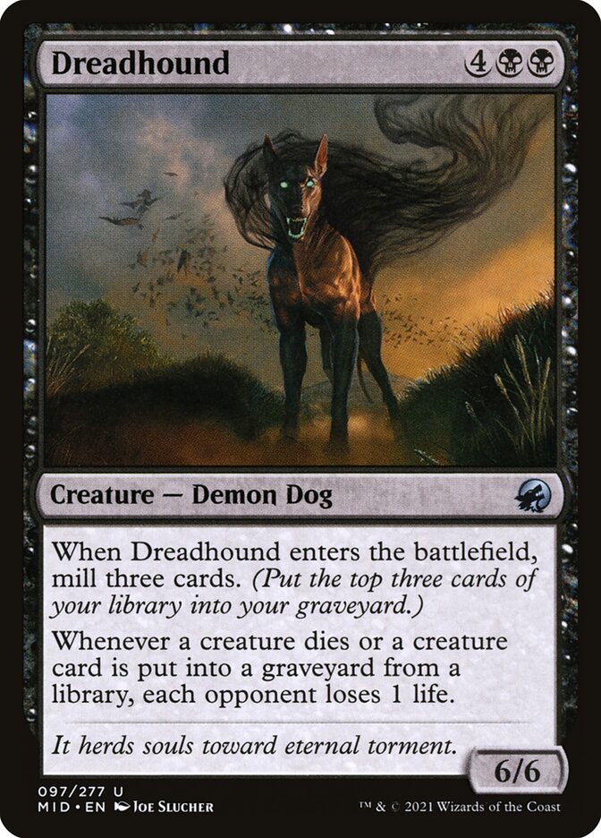 Dreadhound 97 (Innistrad: Midnight Hunt)  | Chromatic Games