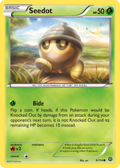 Seedot (9/114) [XY: Steam Siege] | Chromatic Games