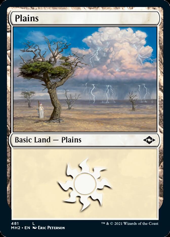 Plains (481) (Foil Etched) [Modern Horizons 2] | Chromatic Games