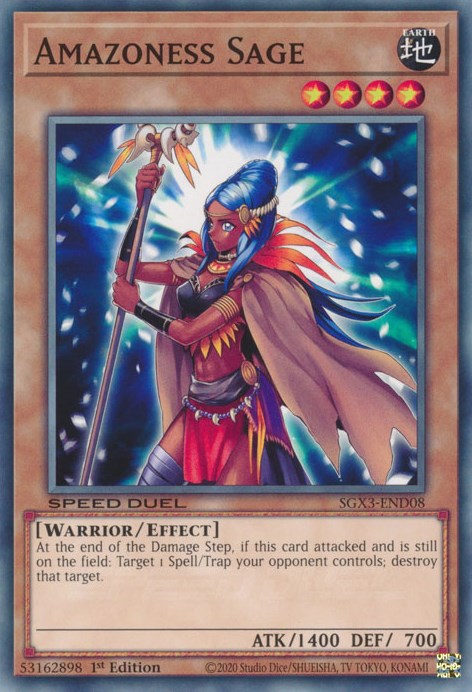 Amazoness Sage [SGX3-END08] Common | Chromatic Games