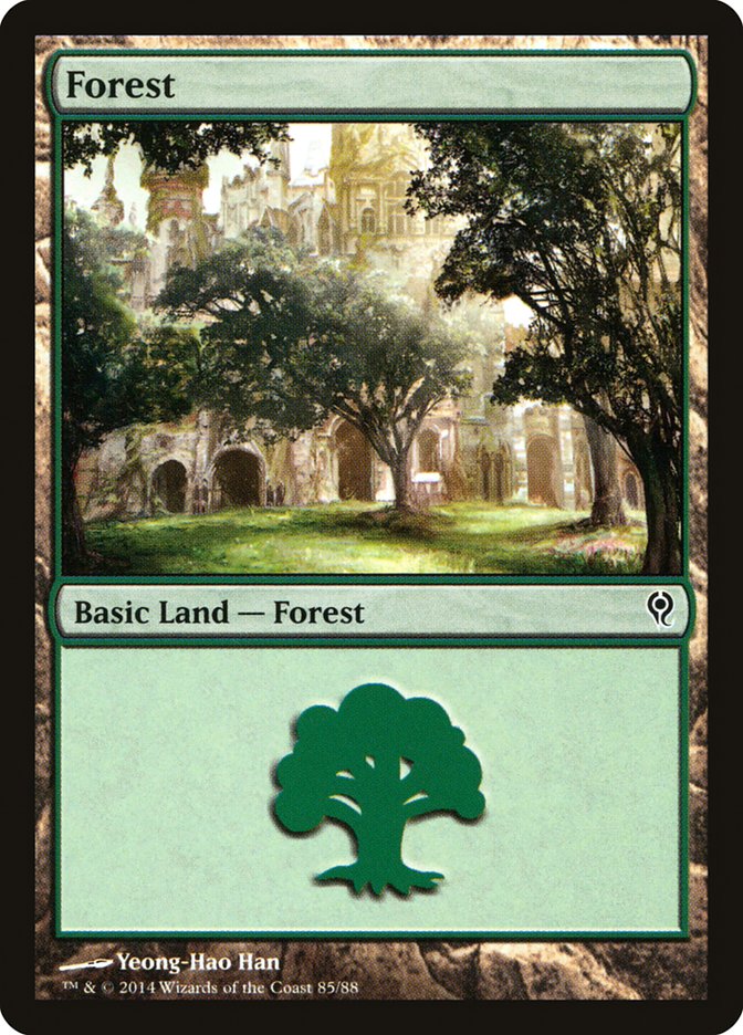 Forest (85) [Duel Decks: Jace vs. Vraska] | Chromatic Games