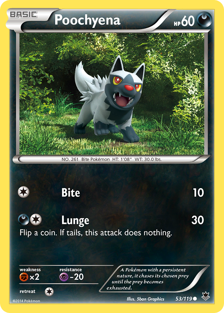 Poochyena (53/119) [XY: Phantom Forces] | Chromatic Games