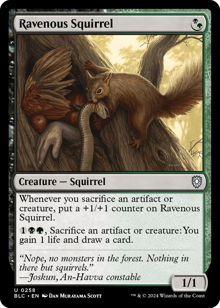 Ravenous Squirrel [Bloomburrow Commander] | Chromatic Games