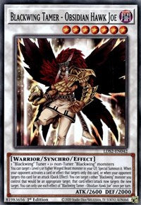 Blackwing Tamer - Obsidian Hawk Joe [LDS2-EN042] Common | Chromatic Games