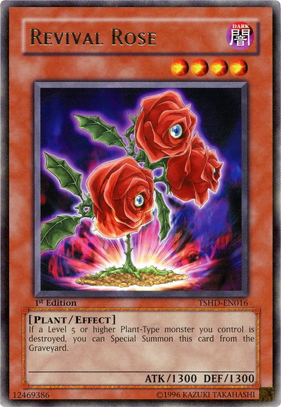 Revival Rose [TSHD-EN016] Rare | Chromatic Games
