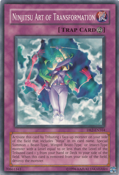 Ninjitsu Art of Transformation [DR2-EN164] Common | Chromatic Games