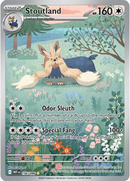 Stoutland (156/086) [Scarlet & Violet: White Flare] | Chromatic Games