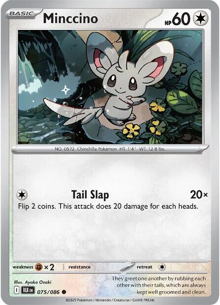 Minccino (075/086) [Scarlet & Violet: Black Bolt] | Chromatic Games