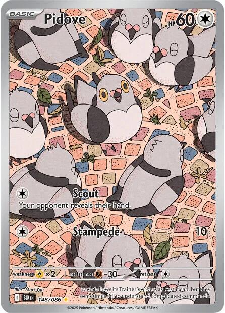 Pidove (148/086) [Scarlet & Violet: Black Bolt] | Chromatic Games
