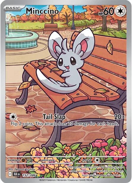 Minccino (152/086) [Scarlet & Violet: Black Bolt] | Chromatic Games