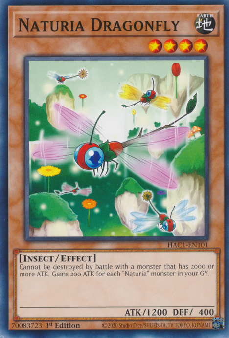 Naturia Dragonfly [HAC1-EN101] Common | Chromatic Games