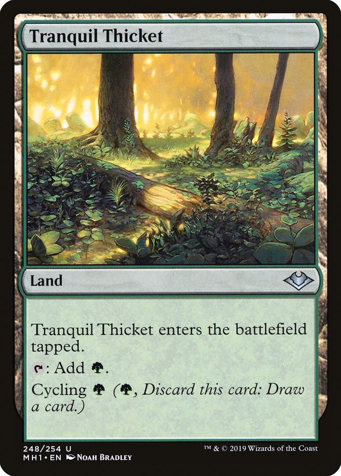 Tranquil Thicket [Modern Horizons] | Chromatic Games