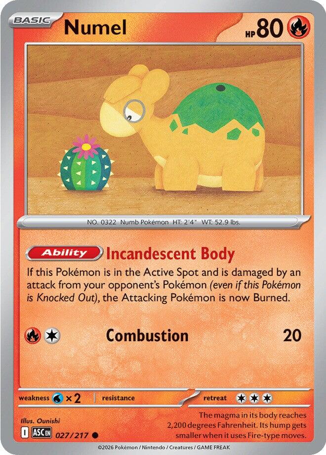 Numel (027/217) [Mega Evolution: Ascended Heroes] | Chromatic Games