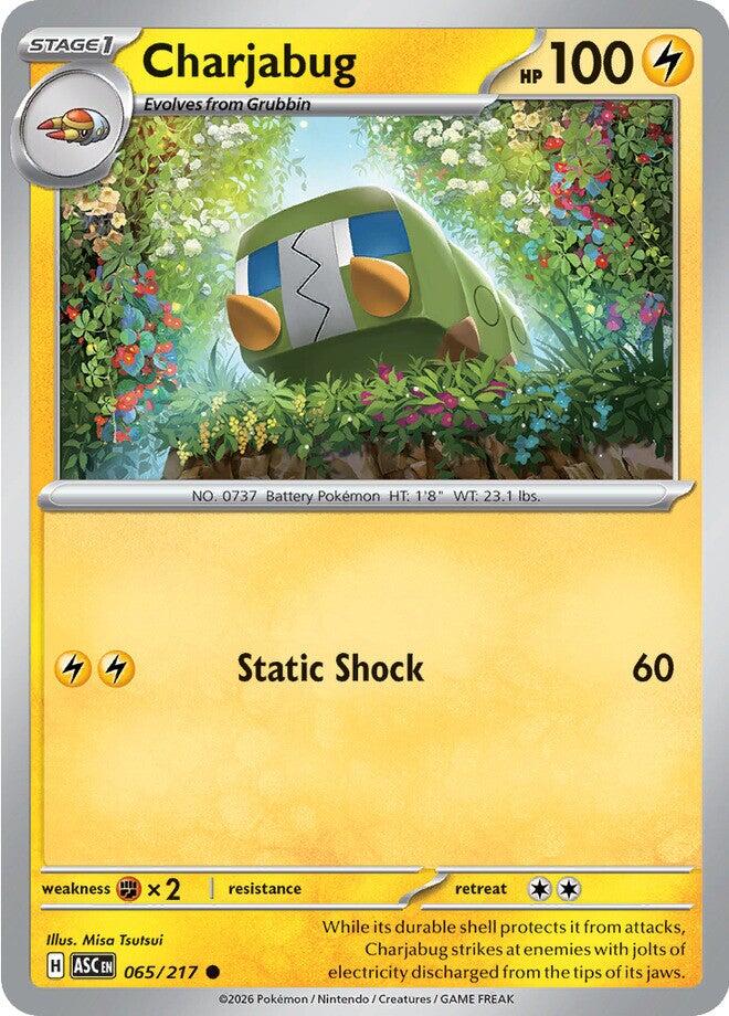 Charjabug (065/217) [Mega Evolution: Ascended Heroes] | Chromatic Games