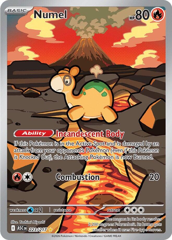 Numel (223/217) [Mega Evolution: Ascended Heroes] | Chromatic Games