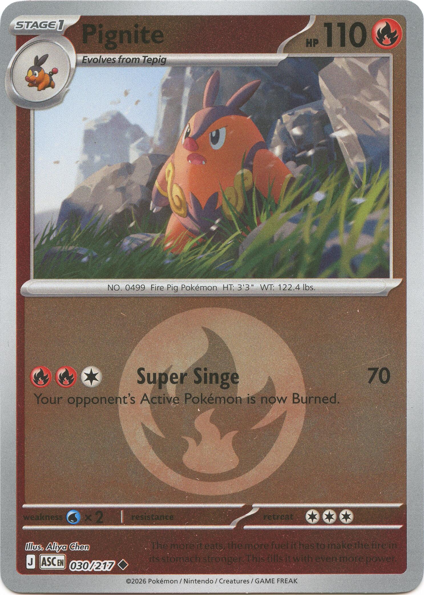 Pignite (030/217) (Energy Symbol Pattern) [Mega Evolution: Ascended Heroes] | Chromatic Games