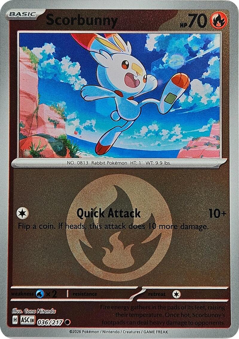 Scorbunny (036/217) (Energy Symbol Pattern) [Mega Evolution: Ascended Heroes] | Chromatic Games