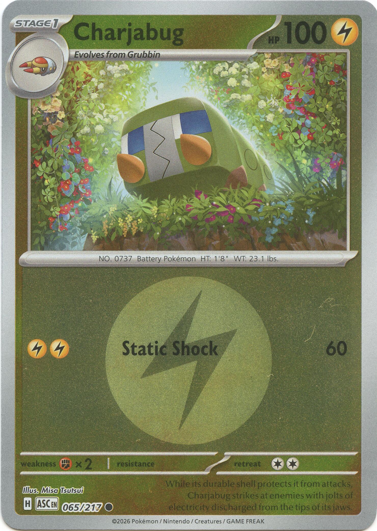 Charjabug (065/217) (Energy Symbol Pattern) [Mega Evolution: Ascended Heroes] | Chromatic Games