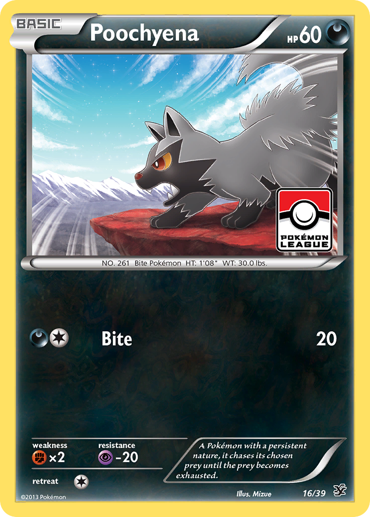 Poochyena (16/39) [XY: Kalos Starter Set] | Chromatic Games