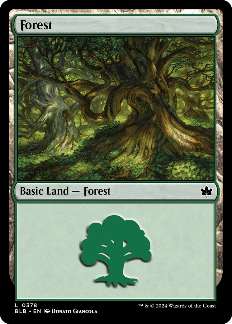 Forest (0378) [Bloomburrow] | Chromatic Games