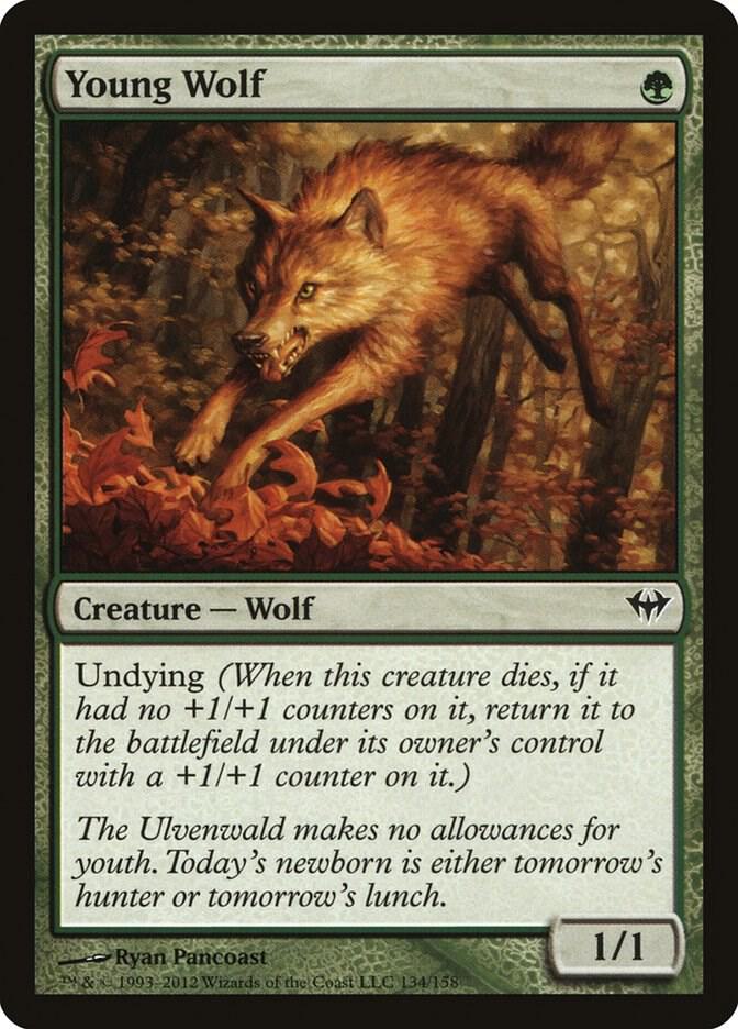 Young Wolf 134/158 (Dark Ascension)  | Chromatic Games