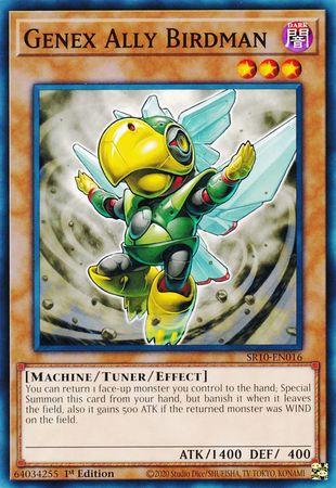 Genex Ally Birdman [SR10-EN016] Common | Chromatic Games
