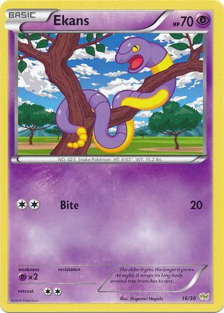 Ekans (16/30) [XY: Trainer Kit - Noivern] | Chromatic Games