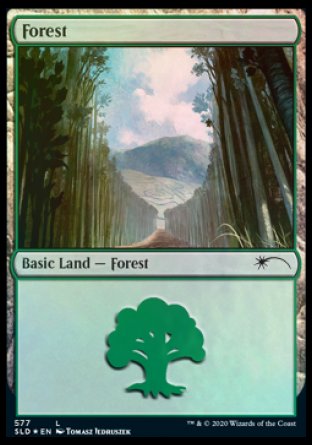 Forest (Walls) (577) [Secret Lair Drop Promos] | Chromatic Games