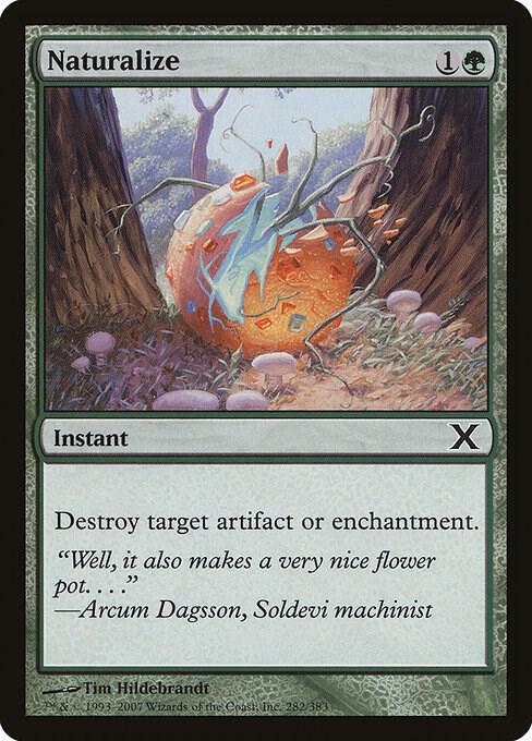 Naturalize 282/383 (10th Edition)  - Foil | Chromatic Games
