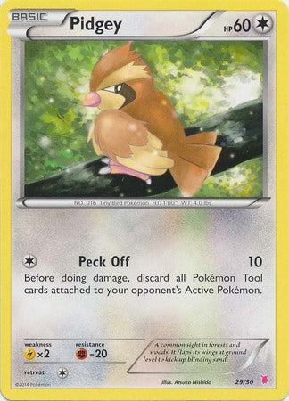 Pidgey (29/30) [XY: Trainer Kit 1 - Wigglytuff] | Chromatic Games