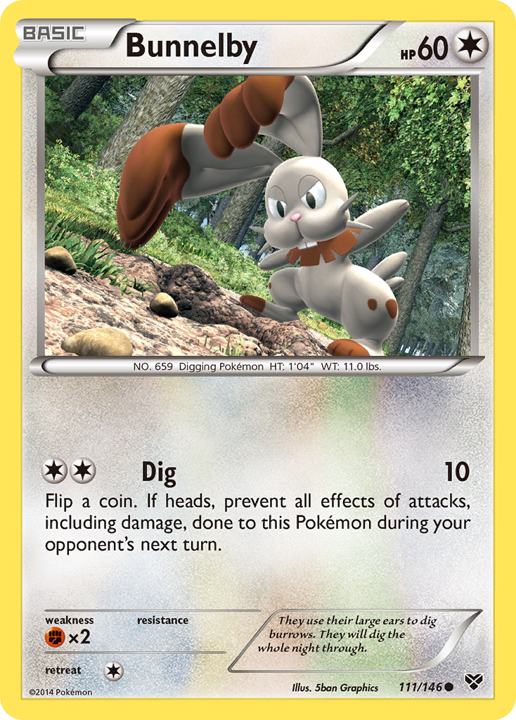 Bunnelby (111/146) [XY: Base Set] | Chromatic Games