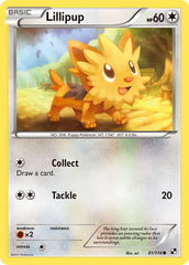 Lillipup (81/114) [Black & White: Base Set] | Chromatic Games