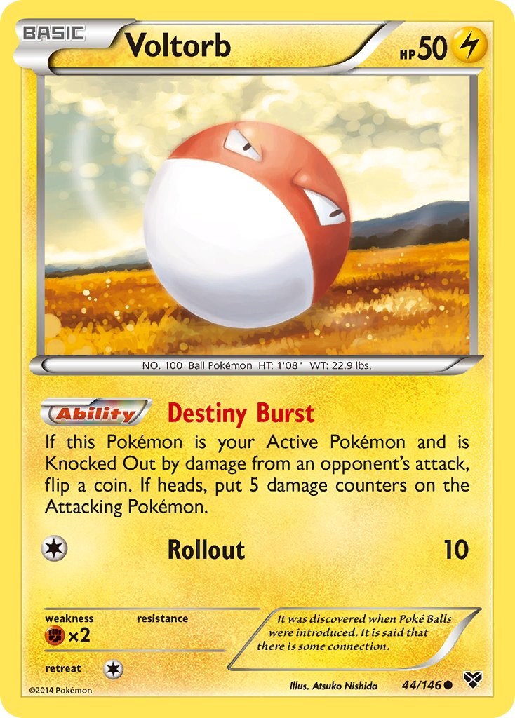 Voltorb (44/146) [XY: Base Set] | Chromatic Games