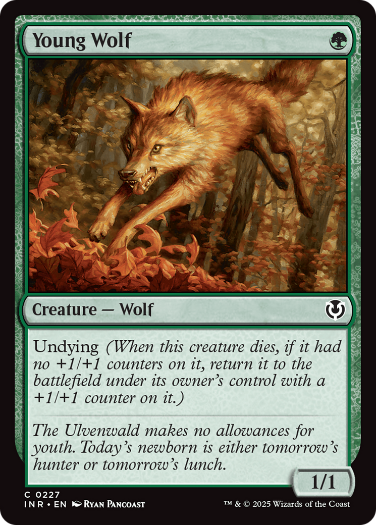 Young Wolf [Innistrad Remastered] | Chromatic Games