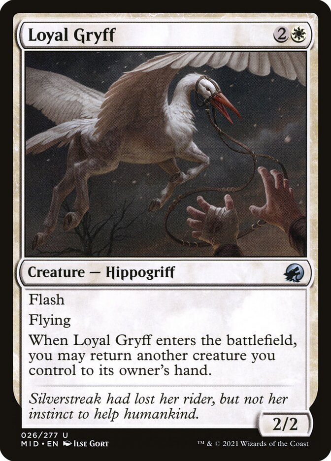 Loyal Gryff 26/277 (Innistrad: Midnight Hunt)  | Chromatic Games