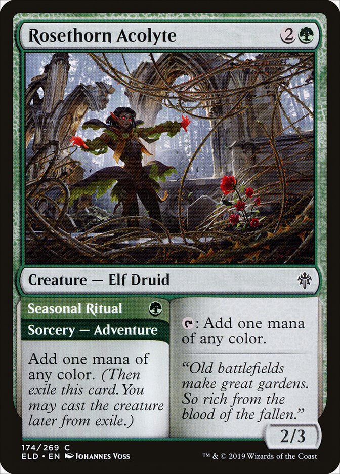 Rosethorn Acolyte // Seasonal Ritual 174/269 (Throne of Eldraine)  | Chromatic Games