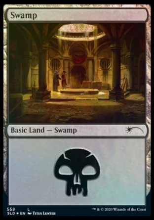 Swamp (Rogues) (559) [Secret Lair Drop Promos] | Chromatic Games